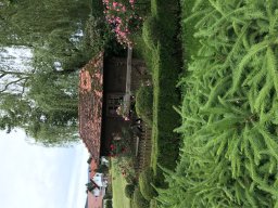 Zell am Harmersbach 2019