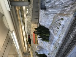 Zell am Harmersbach 2019